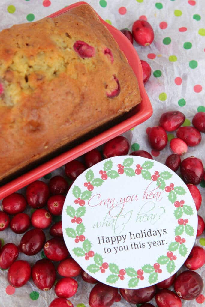 Free Berry Holiday Gift Tags