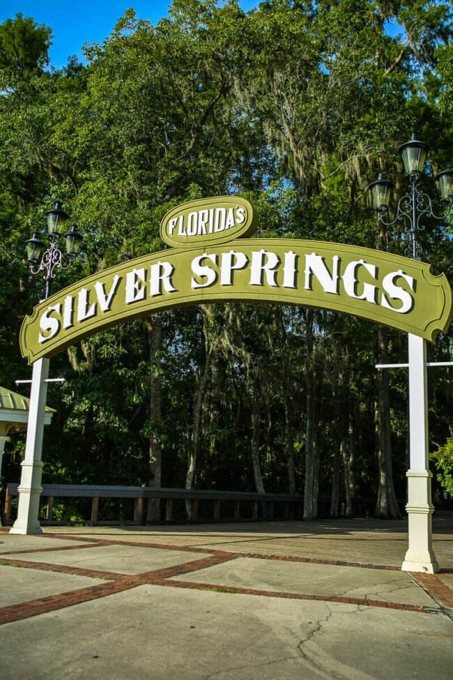 The Perfect 48 Hour Guide to Family Fun in Ocala Florida