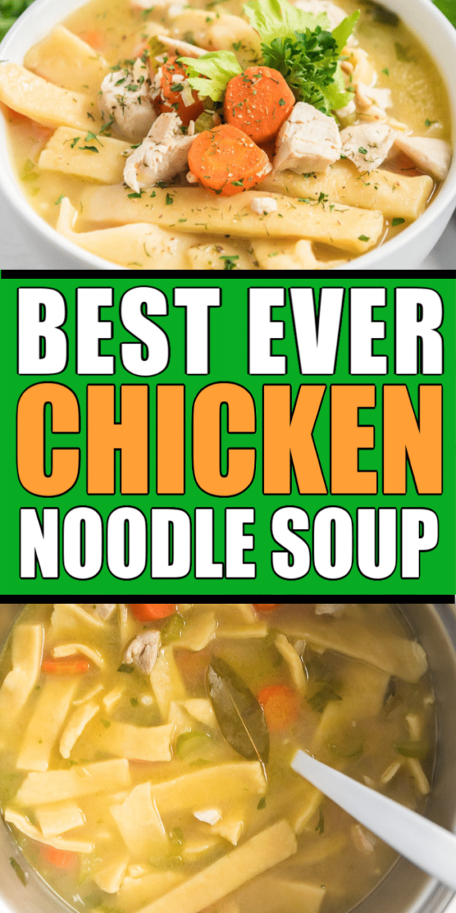 Homemade Chicken Noodle Soup with Egg Noodles - Play Party Plan