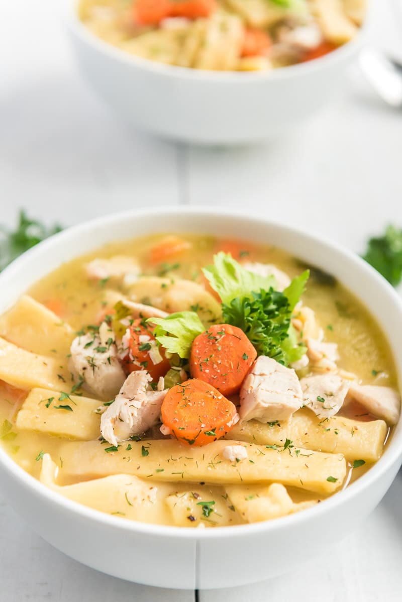 Homemade Chicken Noodle Soup with Egg Noodles Play Party Plan