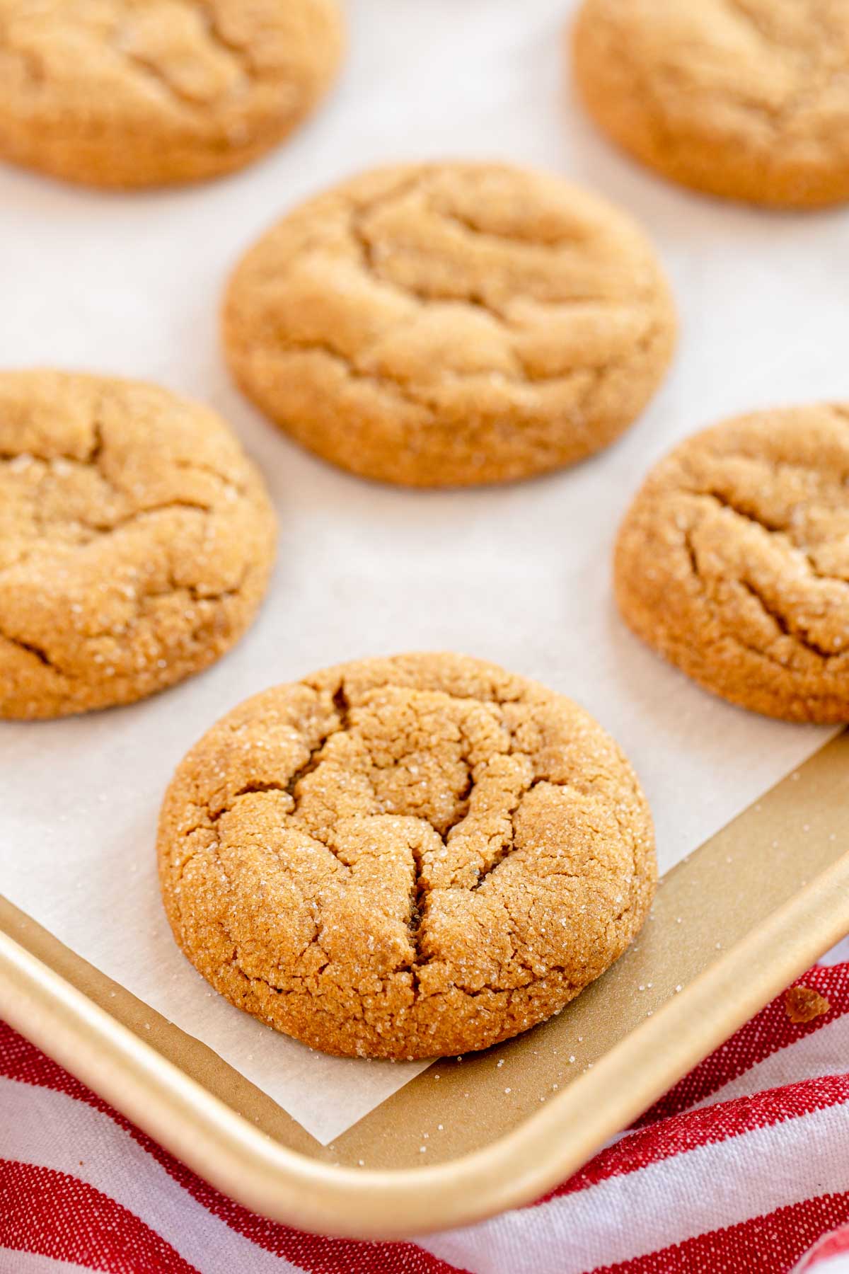 ginger molasses cookies on a baking sheet