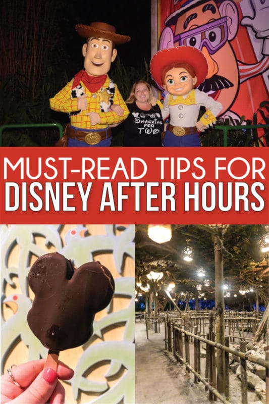 Utimate Guide to Disney After Hours Events in 2022 - 98