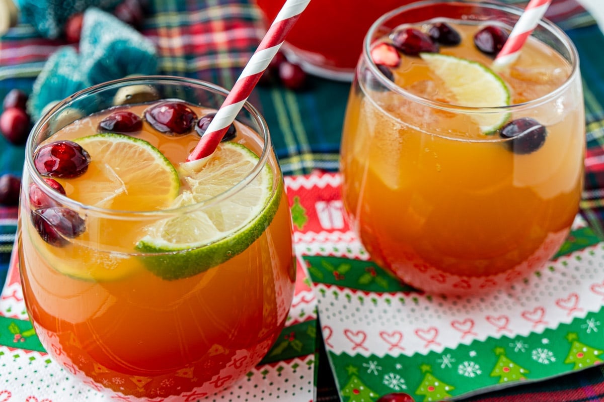  Easy Christmas Punch Recipe Nonalcoholic Play Party Plan