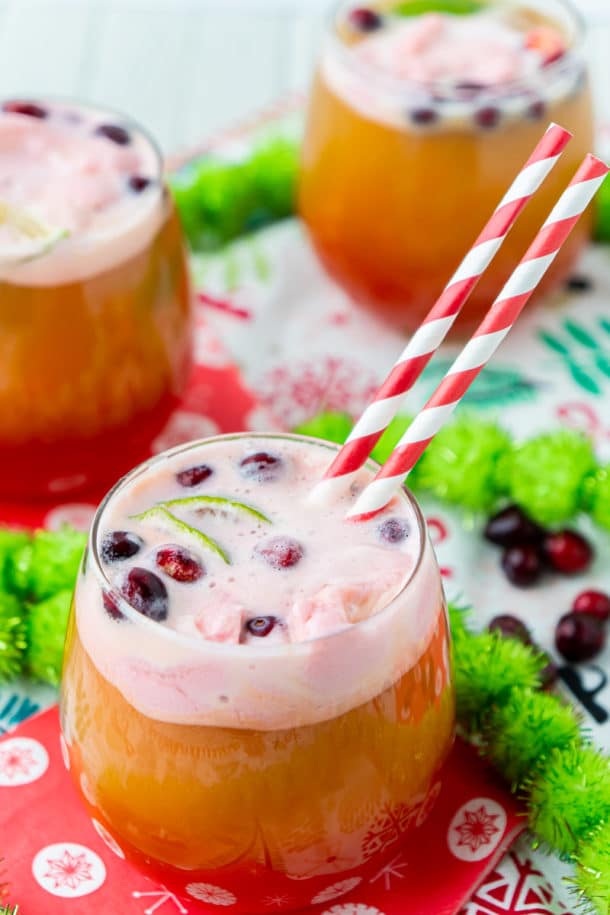 Easy Christmas Punch Recipe (Nonalcoholic) - Play Party Plan