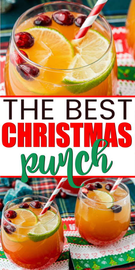 Easy Christmas Punch Recipe (Nonalcoholic) - Play Party Plan