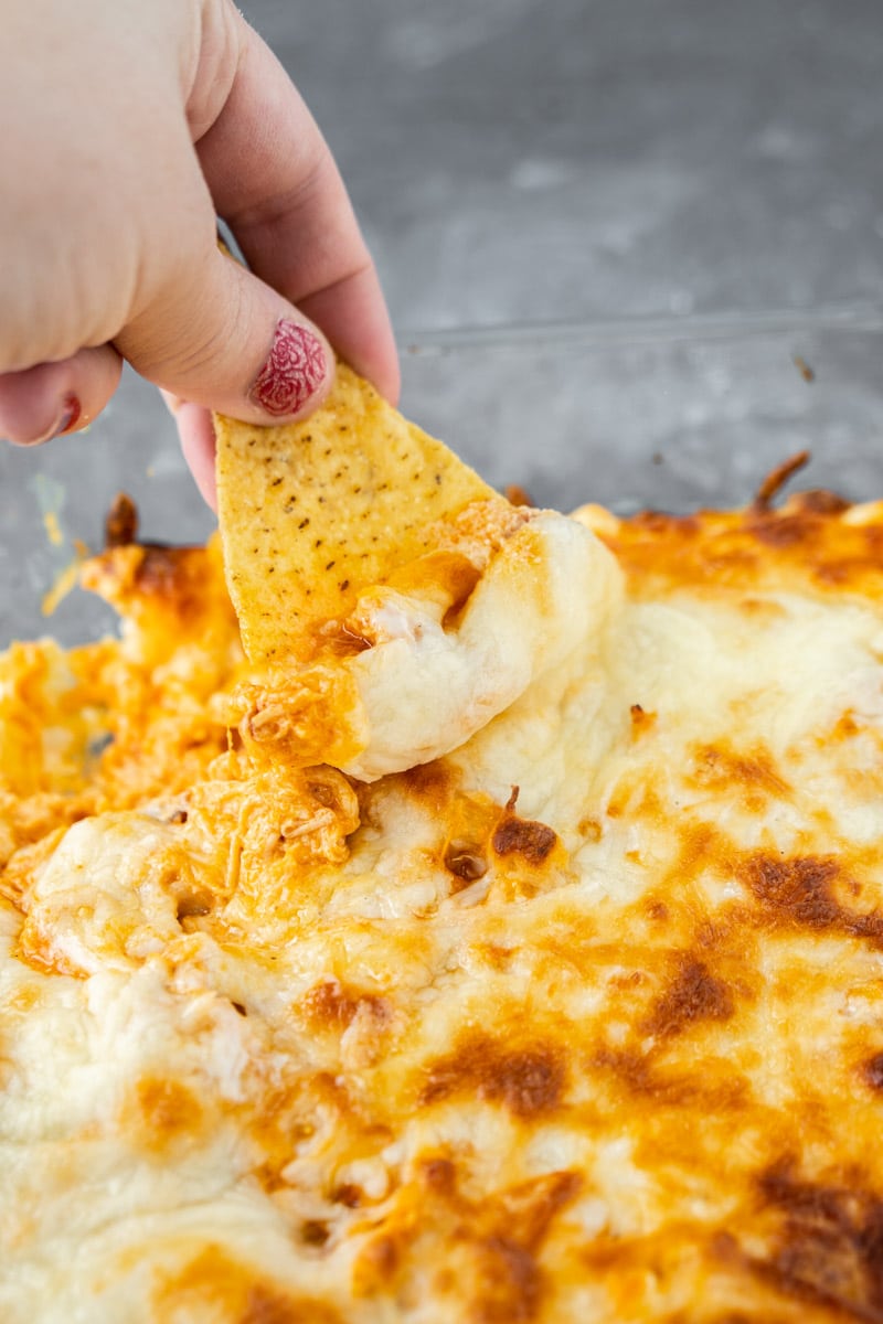 Easy Buffalo Chicken Dip Recipe