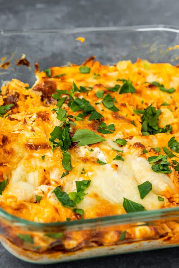 The Best Buffalo Chicken Dip Recipe Ever