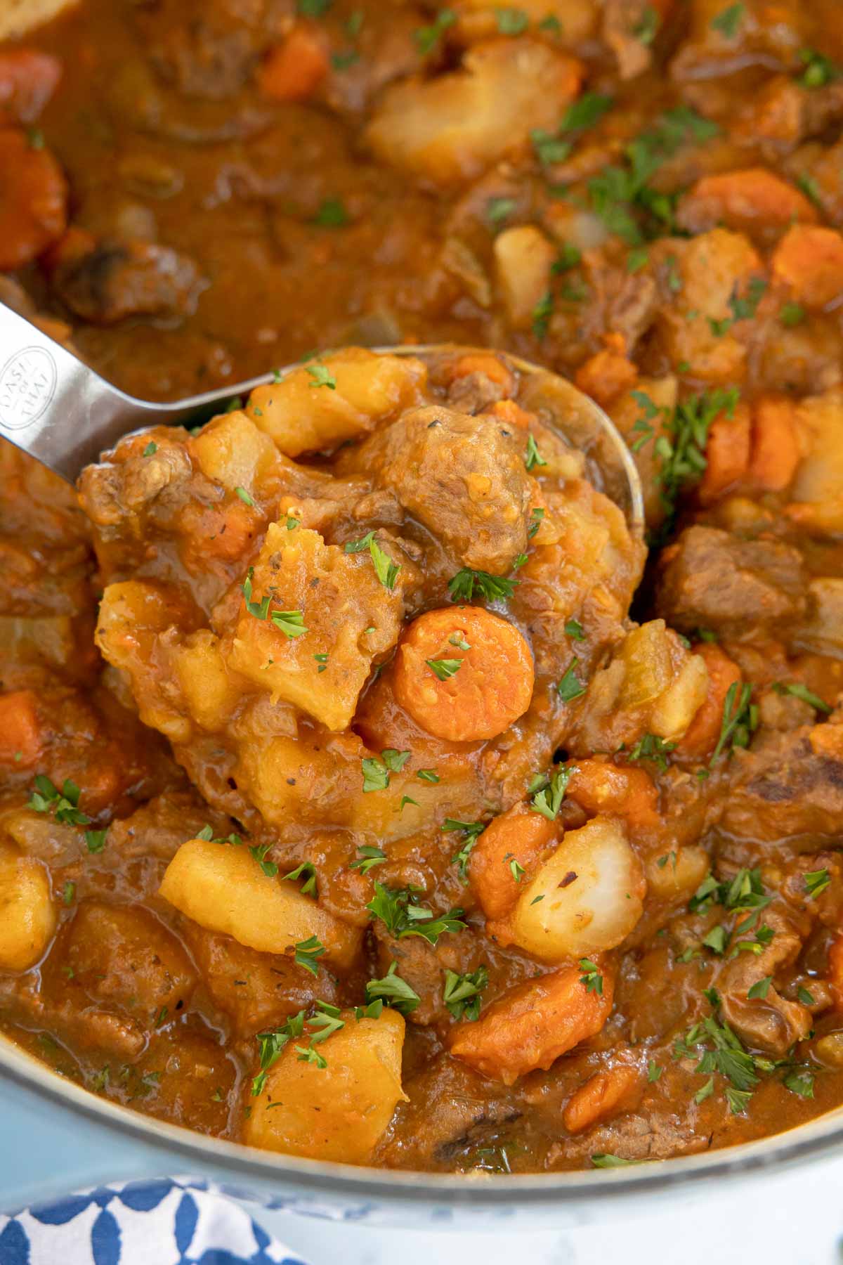 metal scoop of beef stew above a pot of beef stew