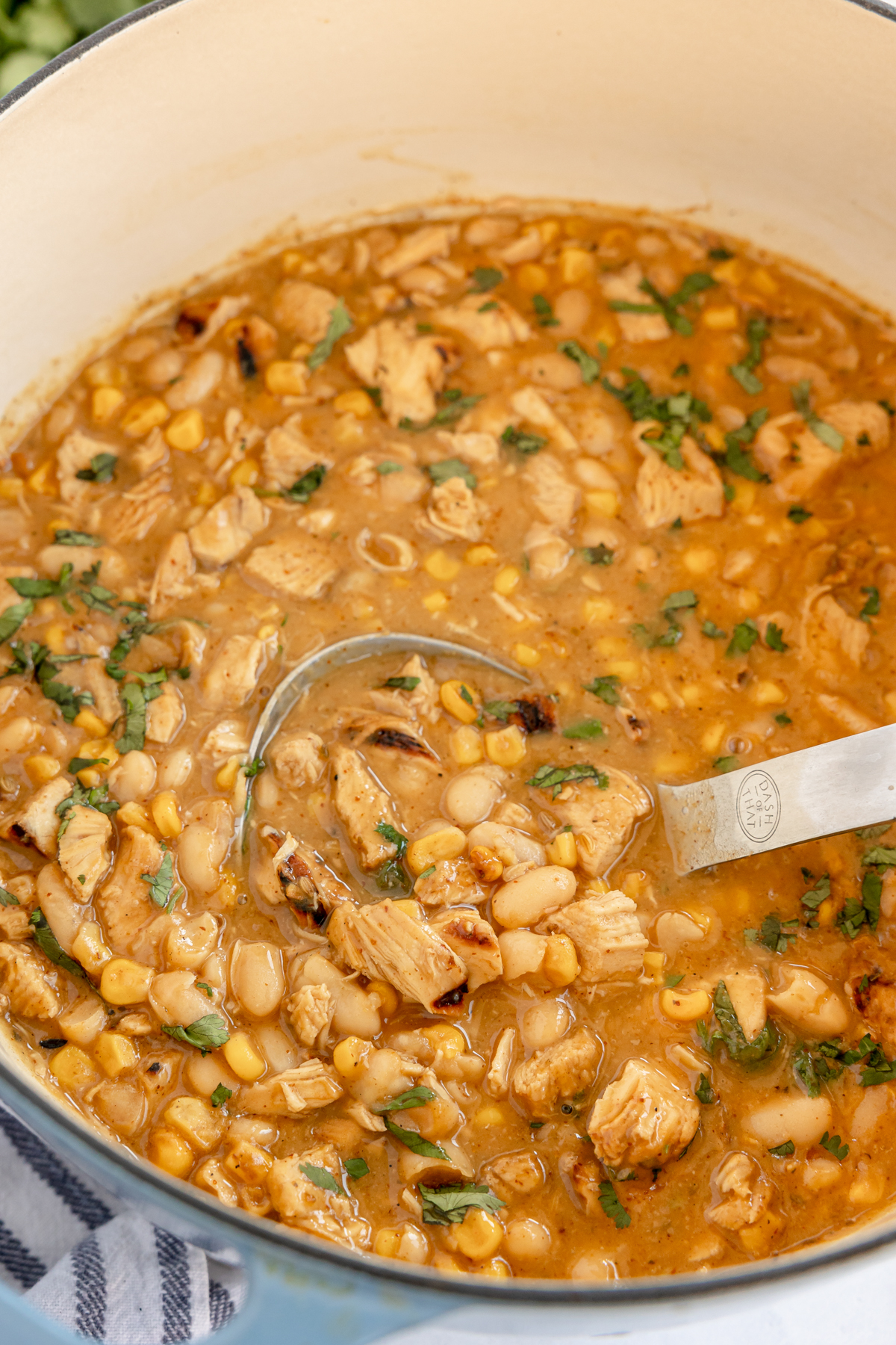 stock pot of dairy free white bean chicken chili