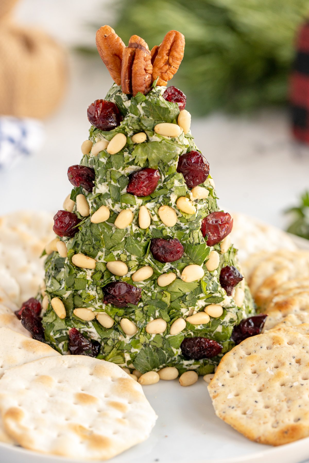 Christmas tree cheese ball surrounded by crackers