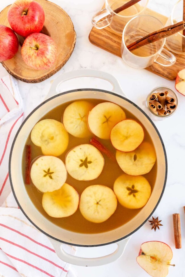 The BEST Spiced Apple Cider for Fall - Play Party Plan