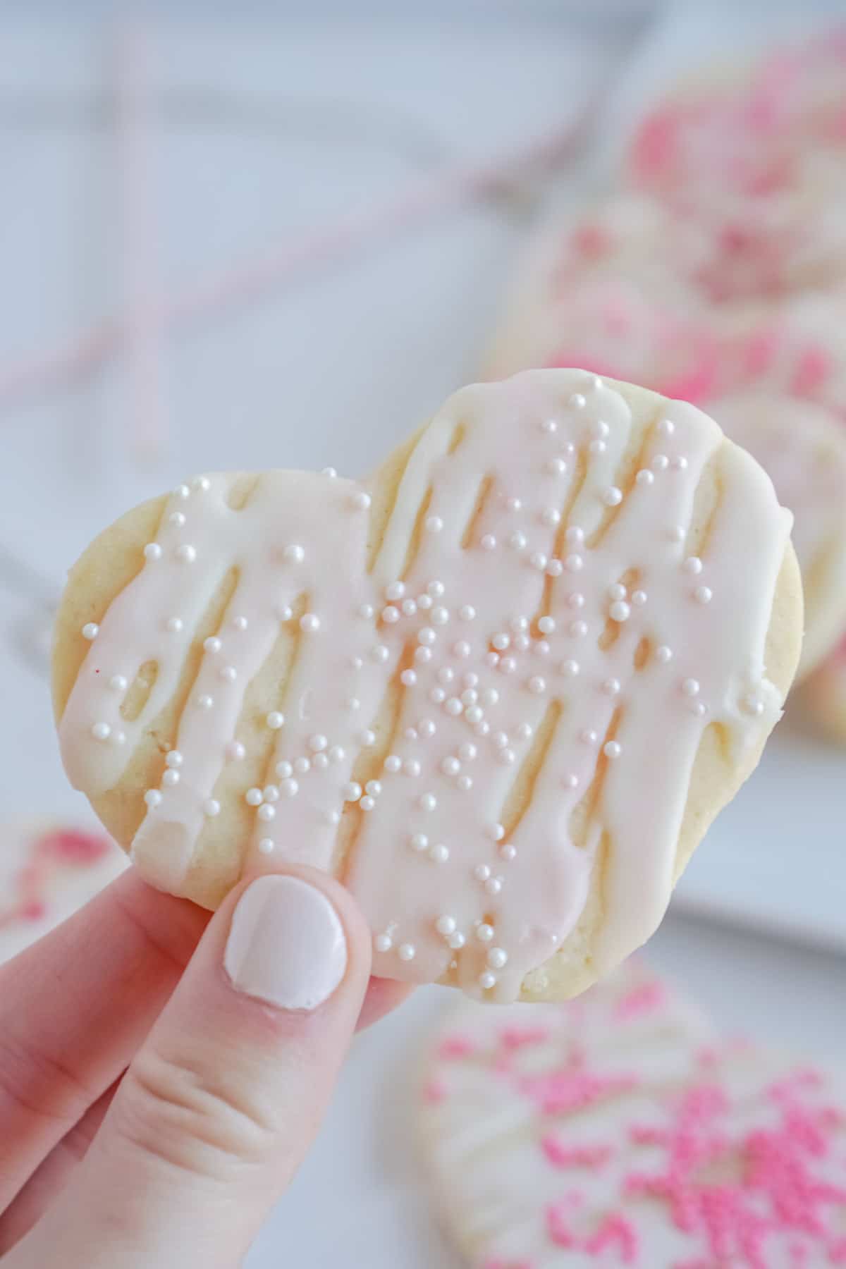 Chocolate Sugar Cookies - Completely Delicious