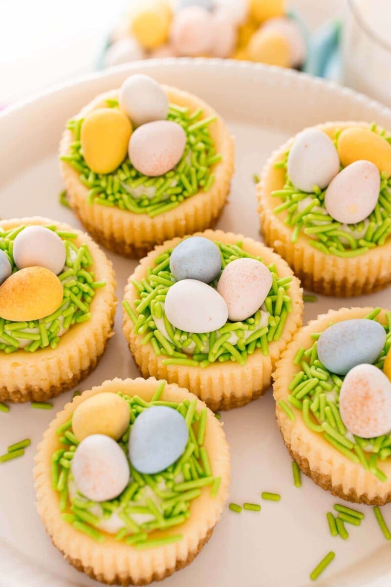 Easy Mini Egg Cheesecake with Mini Cadbury Eggs - Play Party Plan