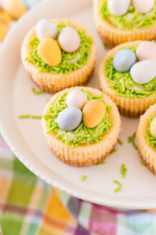 Easy Mini Egg Cheesecake with Mini Cadbury Eggs - Play Party Plan