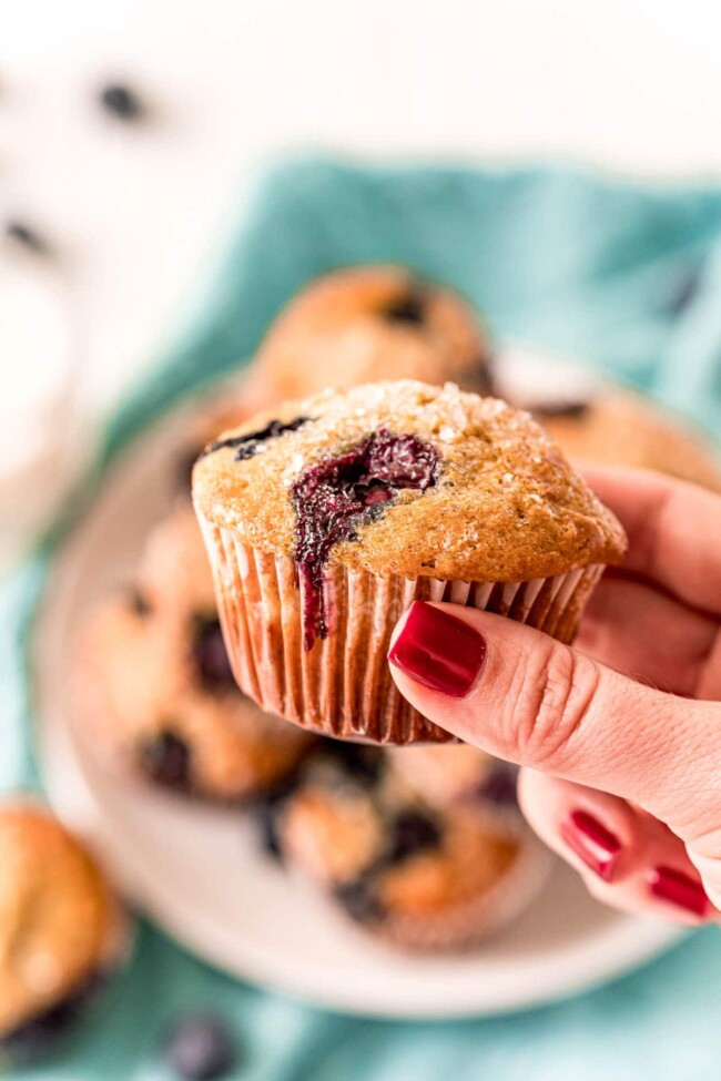 The Best Blueberry Muffins with Yogurt Recipe - Play Party Plan