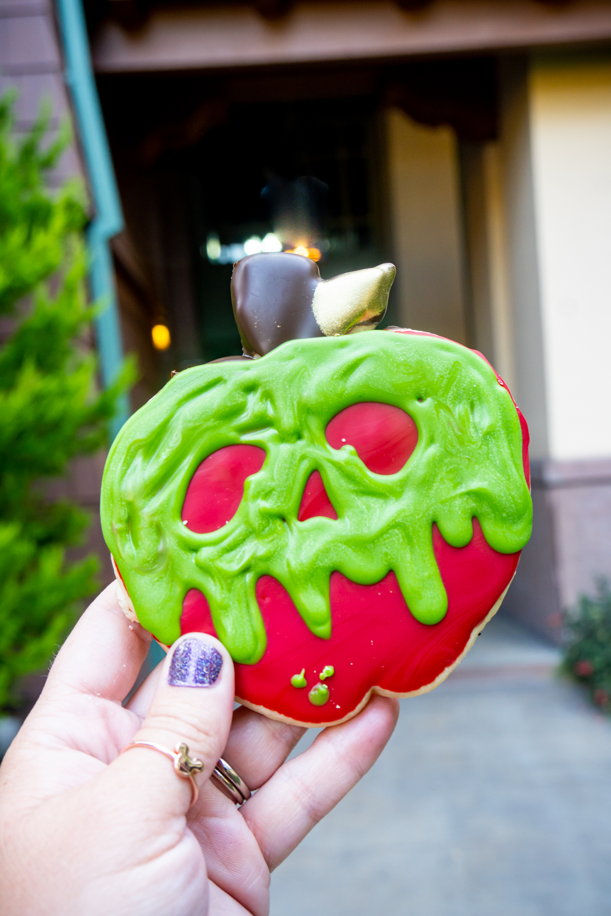 hand holding a poison apple sugar cookie