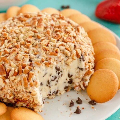 Chocolate Chip Cheese Ball Recipe - Play Party Plan