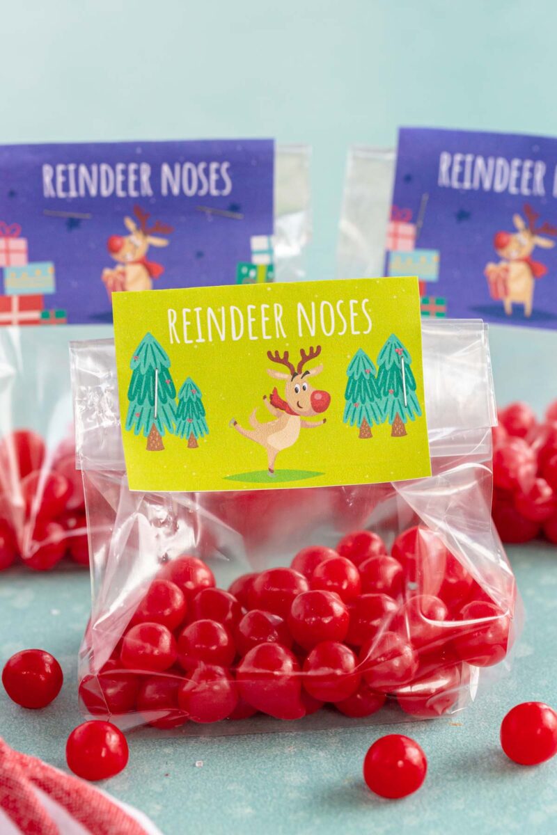Free Printable Reindeerand Reindeer Treat Tags Play Party Plan