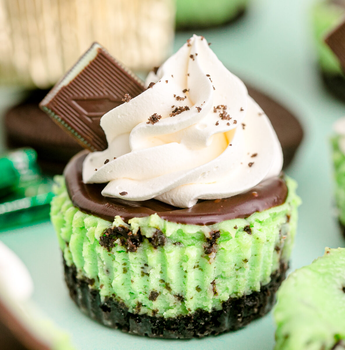 Mini Andes Mint Chocolate Cheesecake