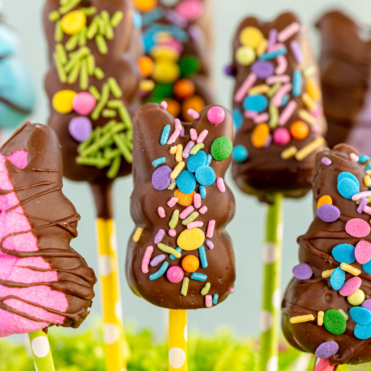 Chocolate Covered Peeps Pops