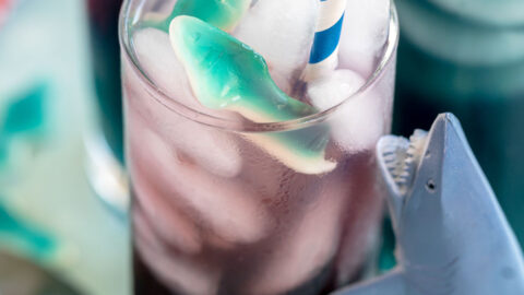 Shark Ice Cubes Recipe makes me think of Shark Week and Parties
