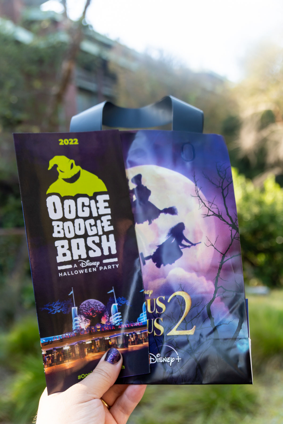 2022 Disneyland Oogie Boogie Bash Halloween Party Guide - 6
