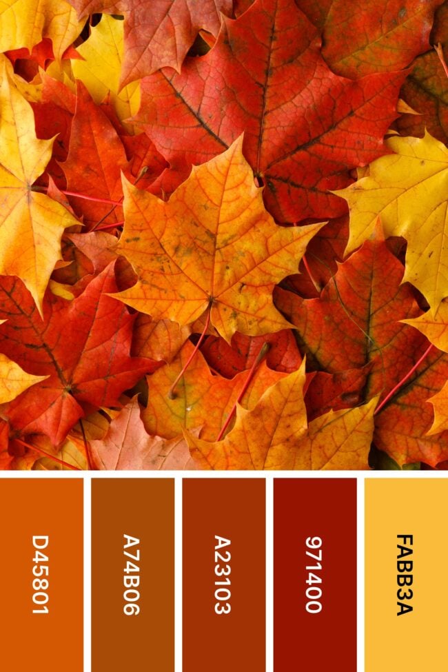 22-perfect-fall-color-palettes-for-2024-play-party-plan