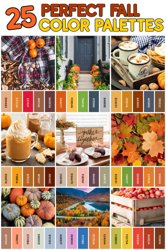 22 Perfect Fall Color Palettes for 2024 Play Party Plan