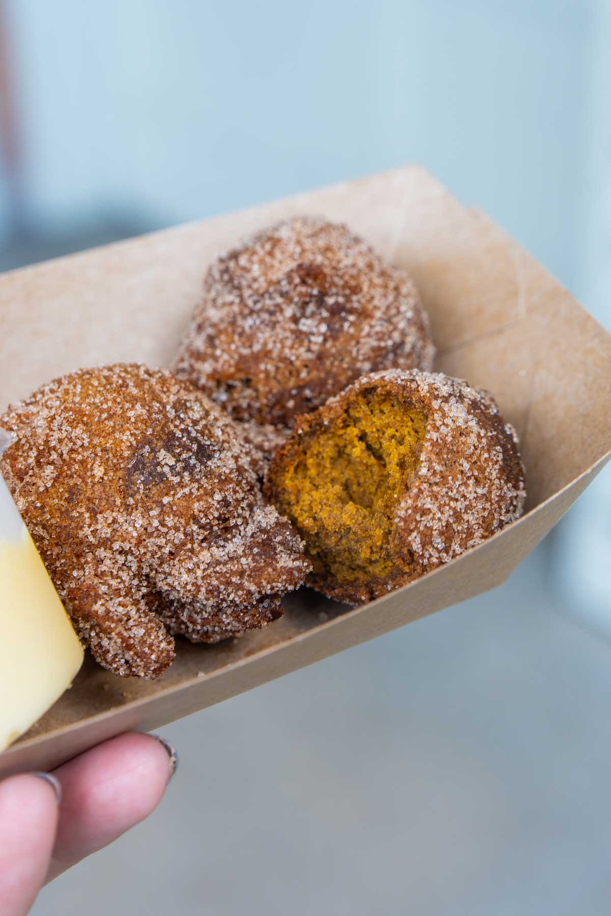 Pumpkin spice fritters in a tray at Disneyland