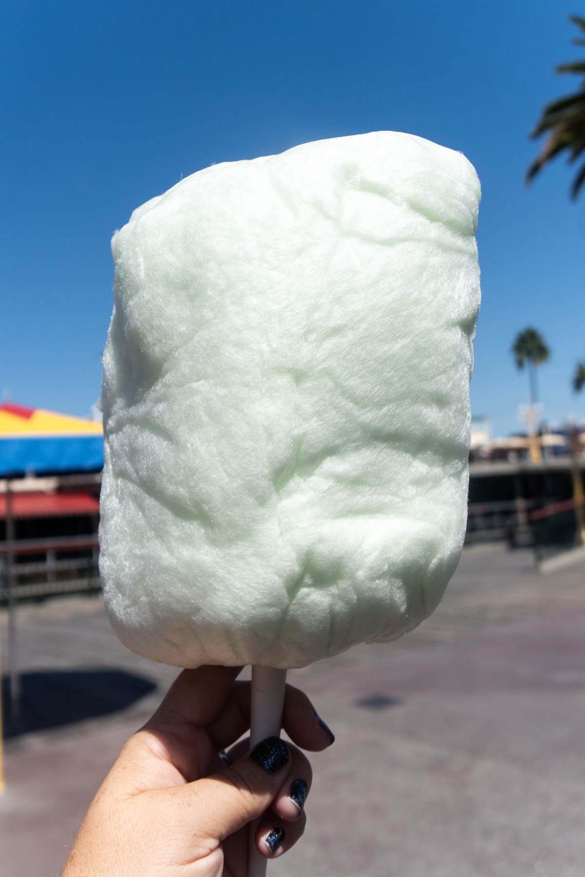 hand holding some candy apple cotton candy