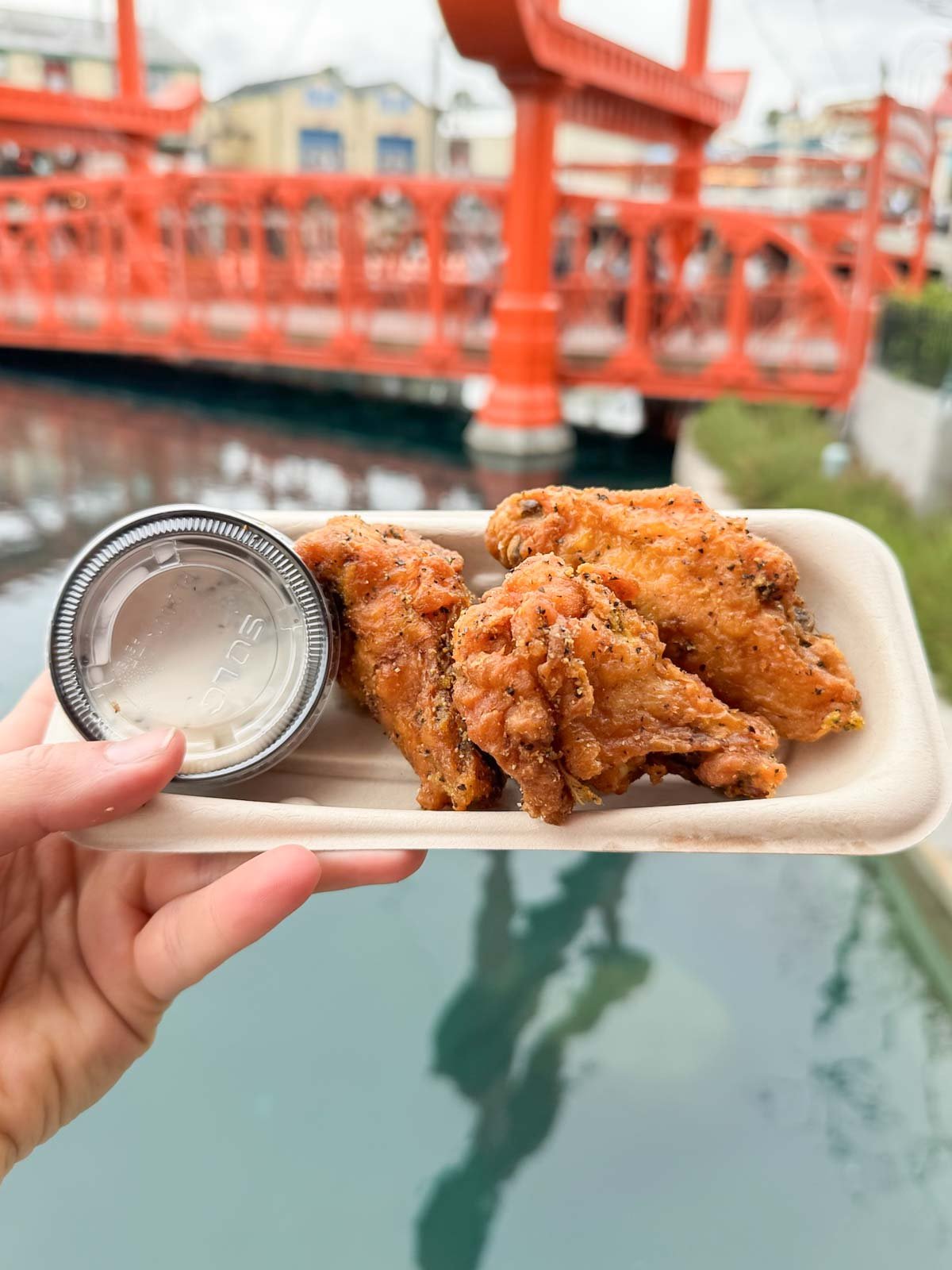 hand holding a plate of lemon pepper wings and ranch dressing