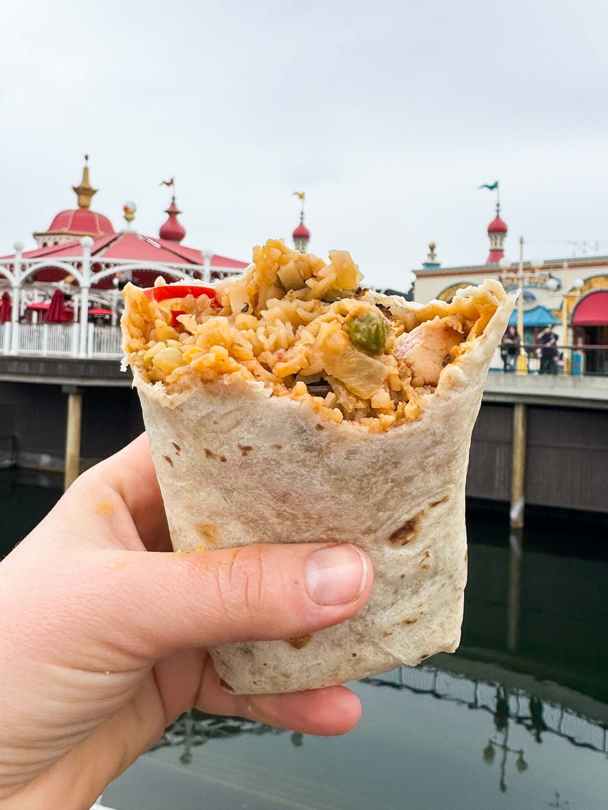 hand holding a half eaten Thai burrito at Disneyland