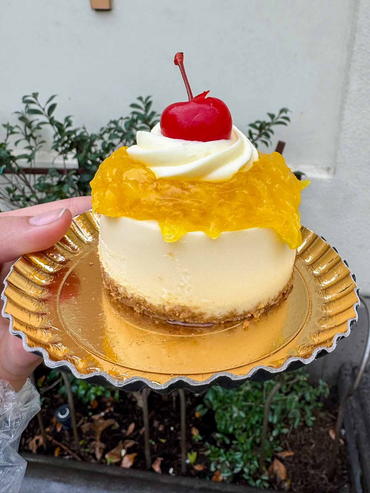 hand holding a tres leches cake at disneyland