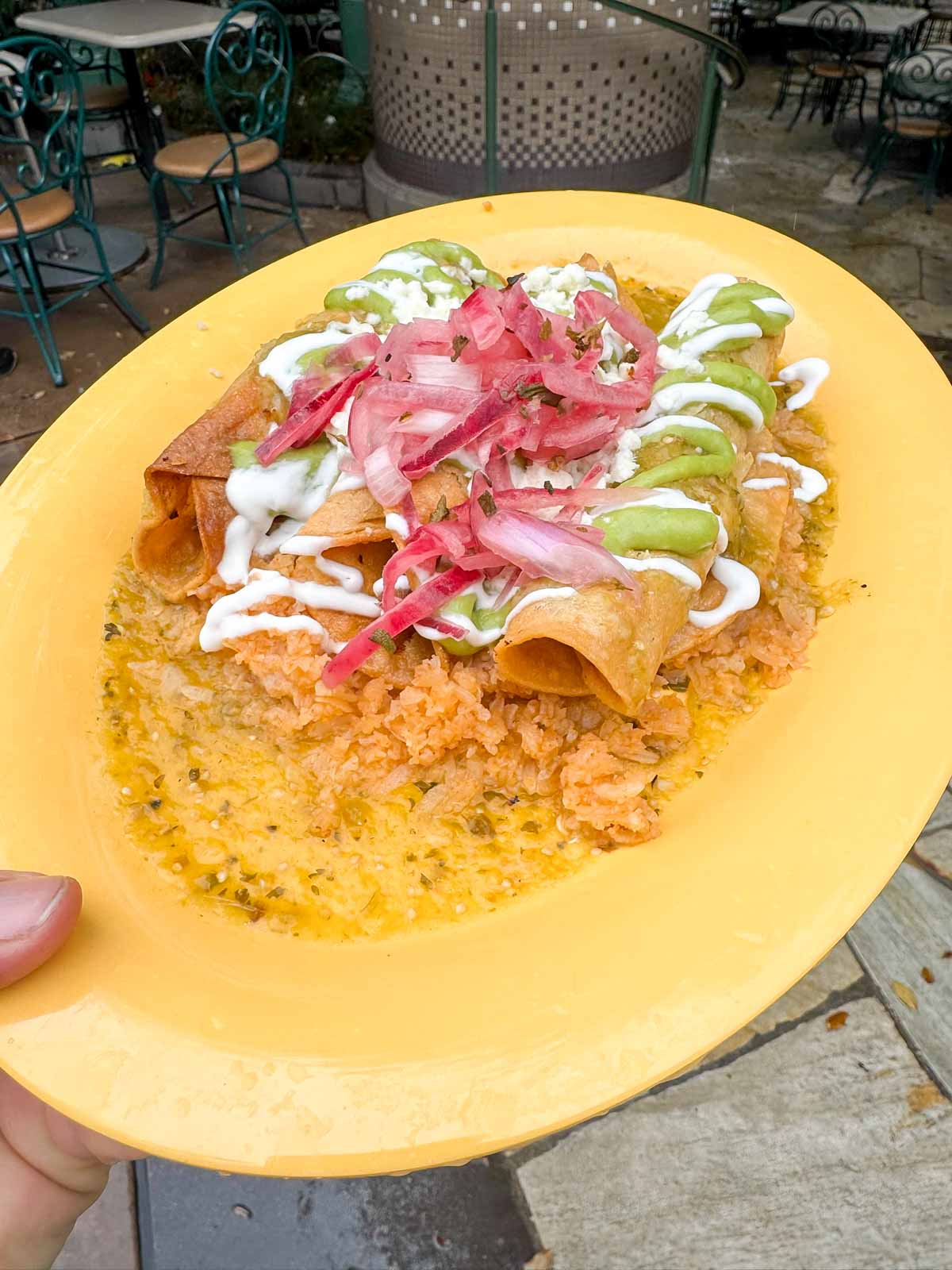 hand holding a yellow plate with chicken taquitos