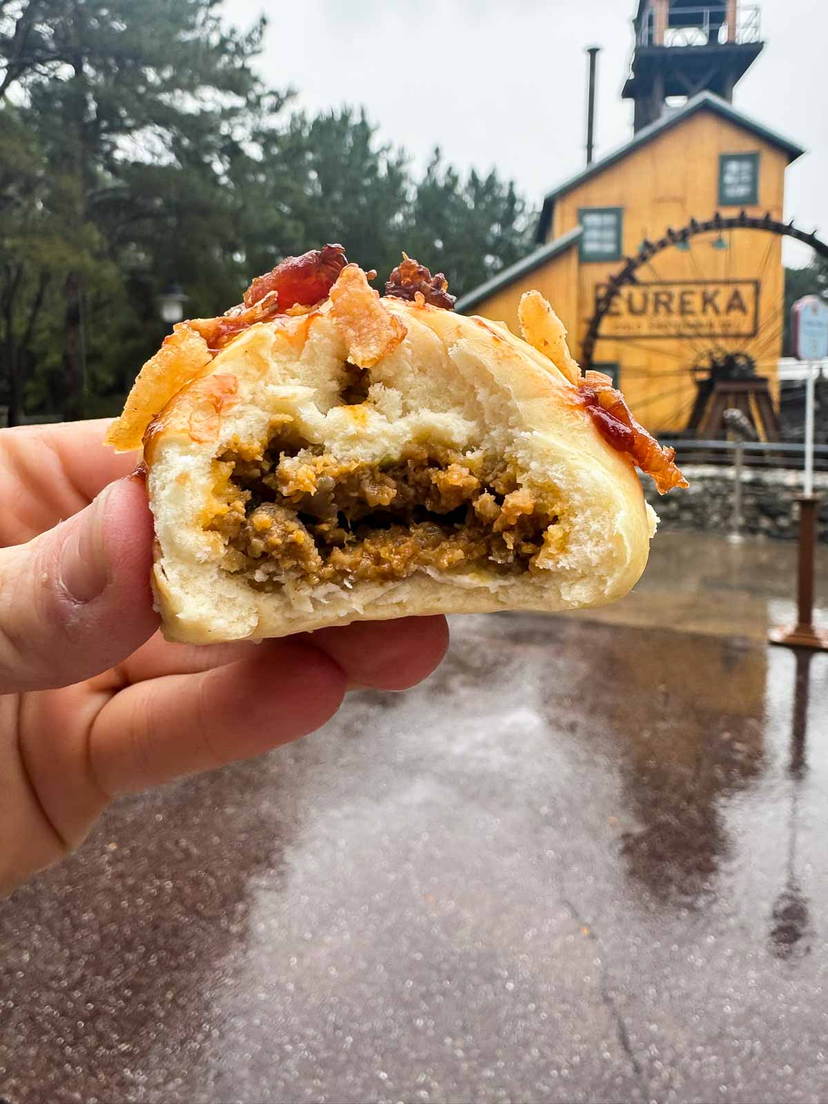 barbecue filled bao at disneyland in someone's hand