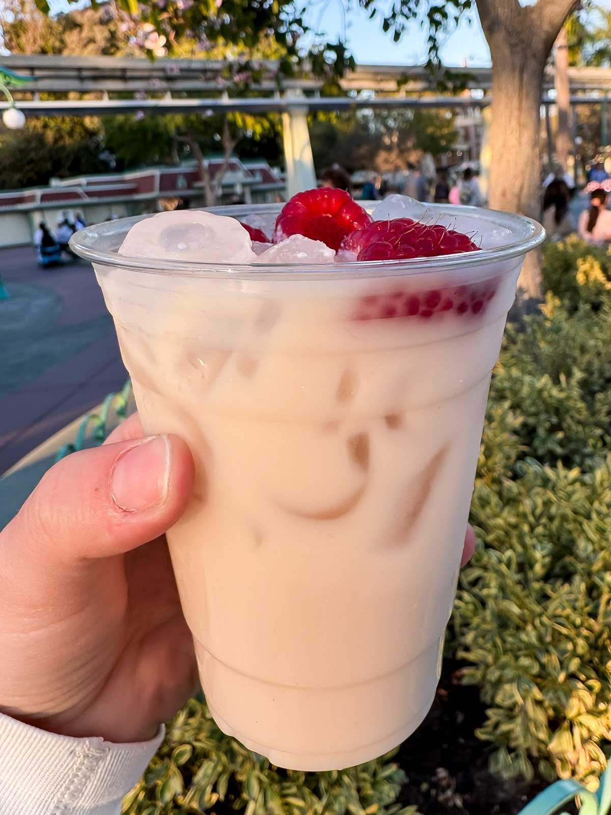 hand holding a raspberry horchata at disneyland