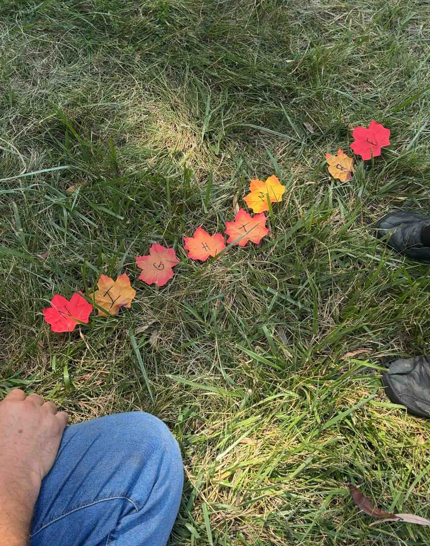 word written out on plastic leaves