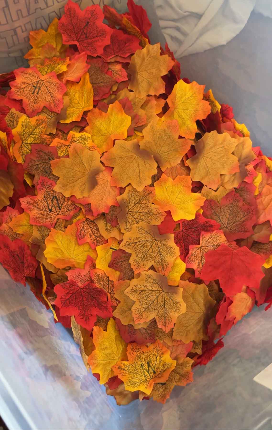 plastic leaves in a bucket with a W written on one