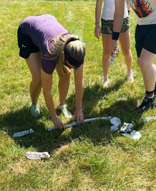 adult placing bones on a skeleton