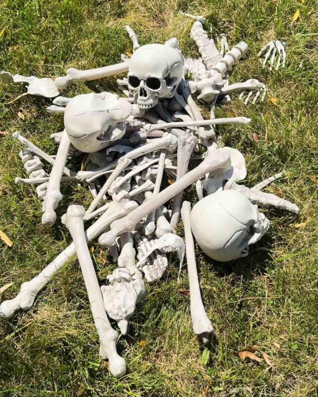 pile of fake bones in the grass