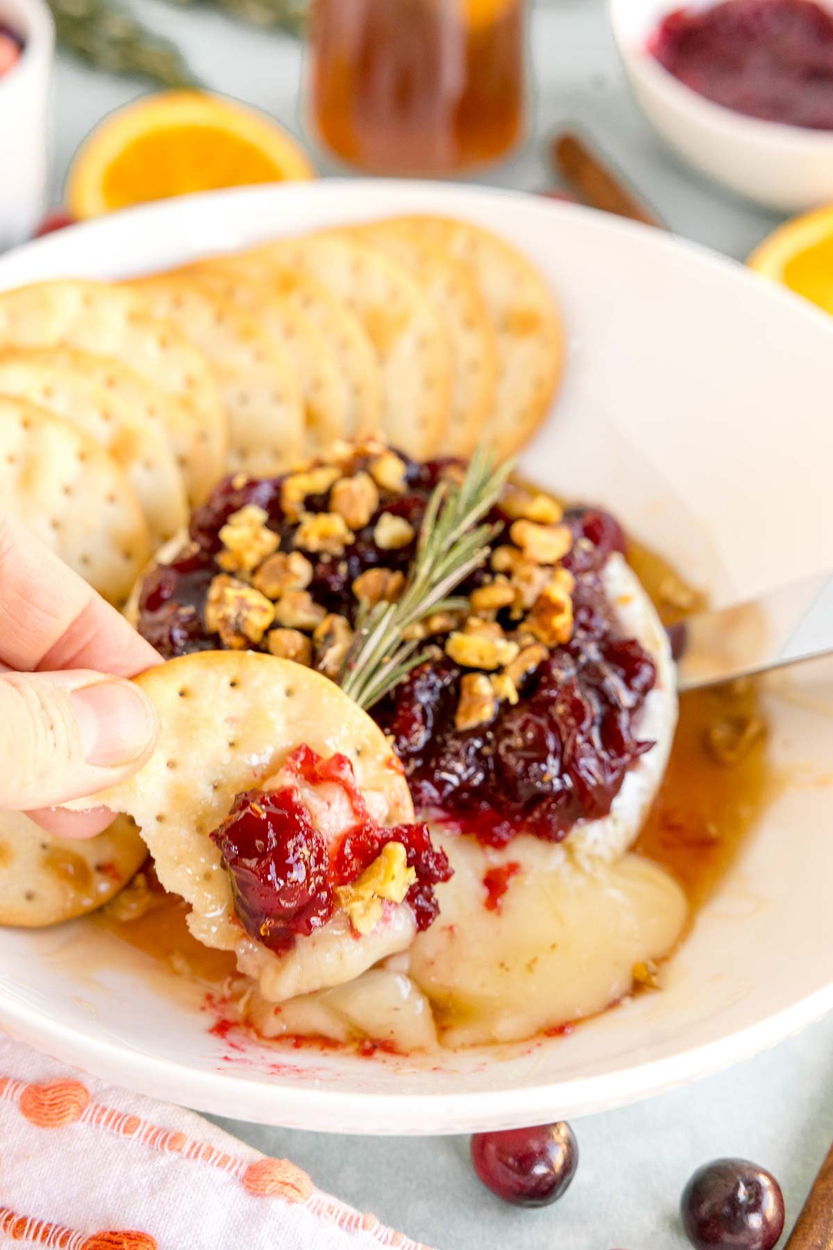 cracker dipped into baked brie with honey and cranberry sauce