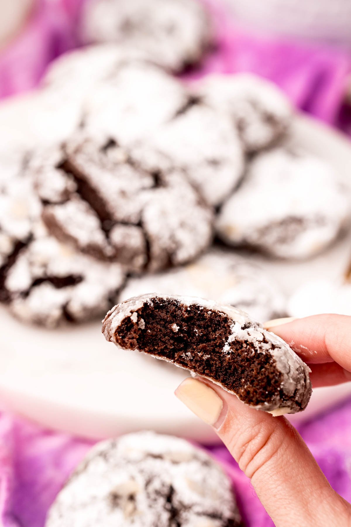 hand holding a chocolate crinkle cookie 